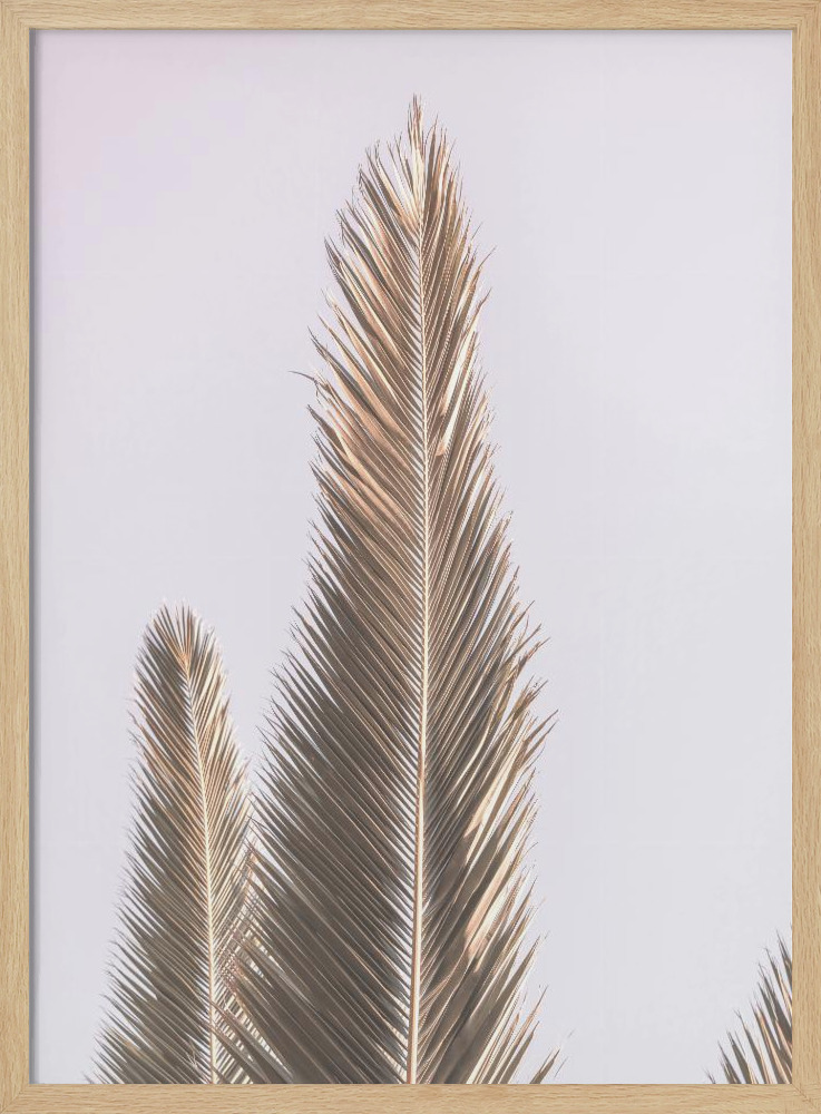Poster - Phoenix Palm natural wood poster frame