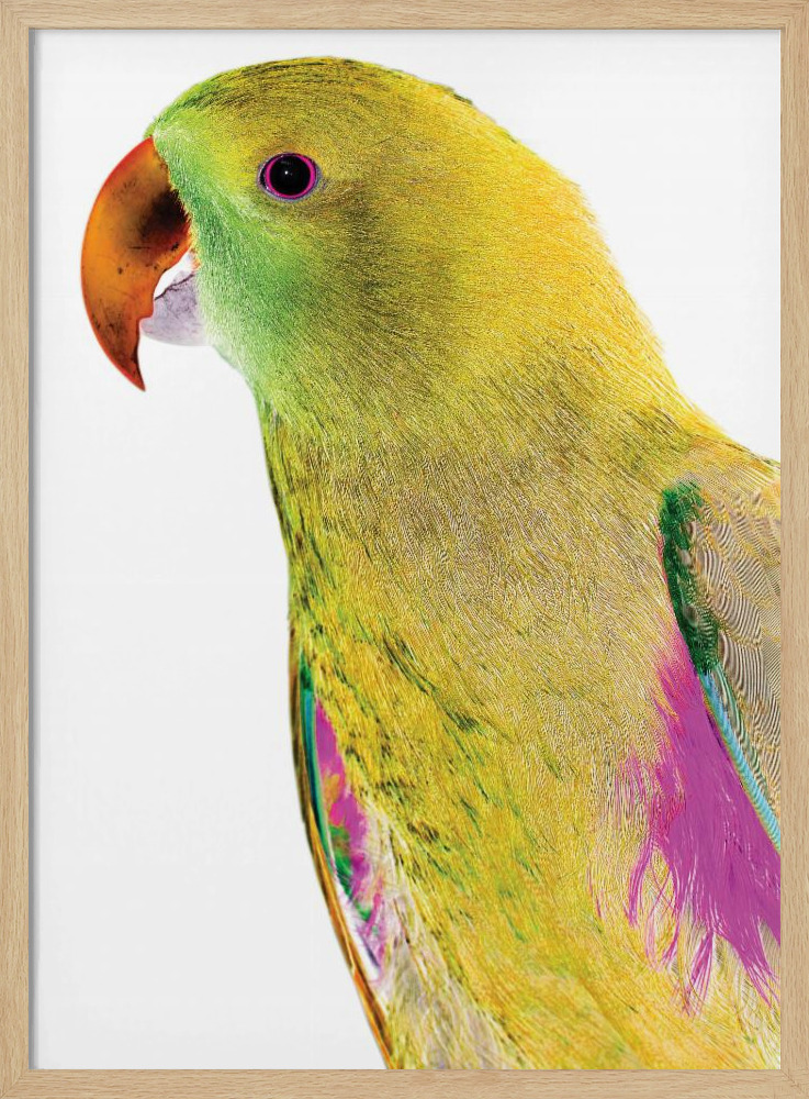 Poster - Polly natural wood poster frame