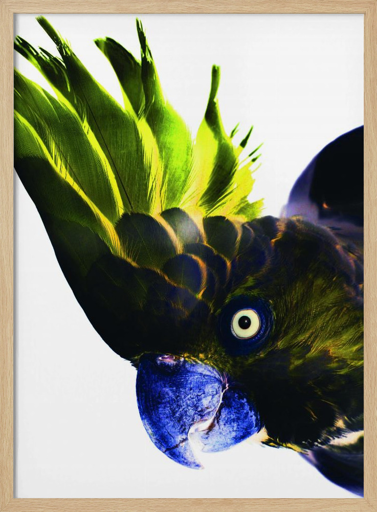 Poster - Punk Rocker natural wood poster frame