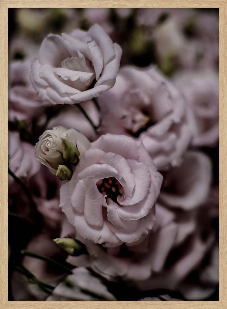 Poster - Rosa natural wood poster frame