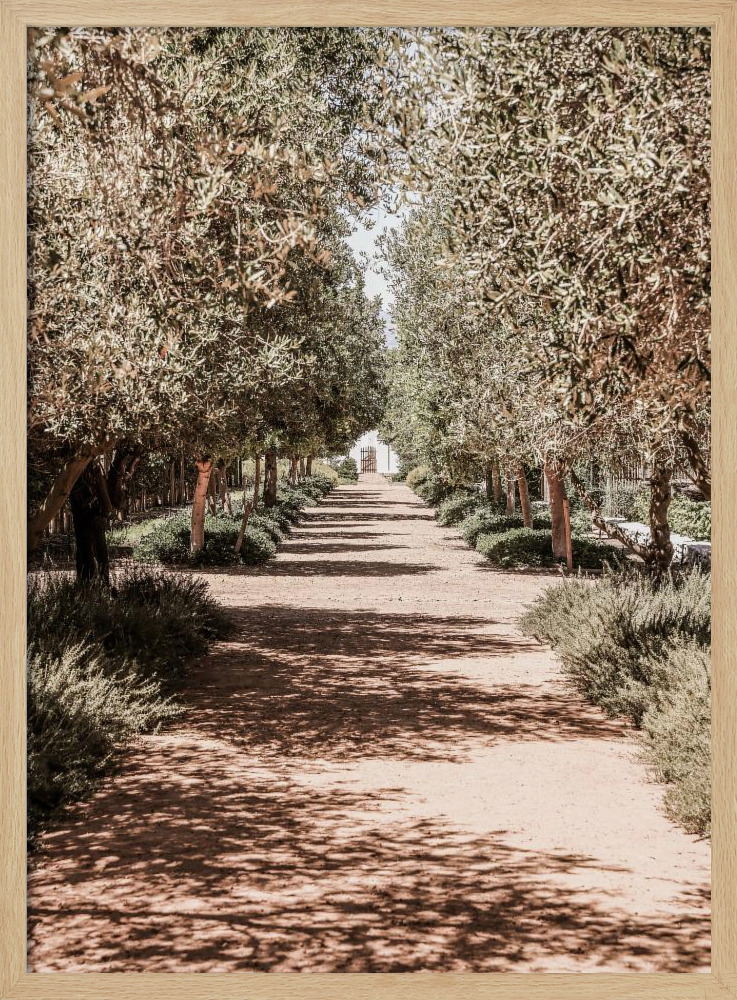 Affiche - Secret Garden cadre de poster en bois naturel