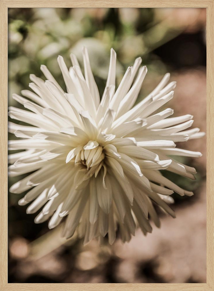 Poster - Summer Bloom natural wood poster frame