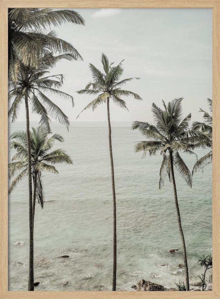 Plakat - Tropical Dreams ramka na plakat z naturalnego drewna