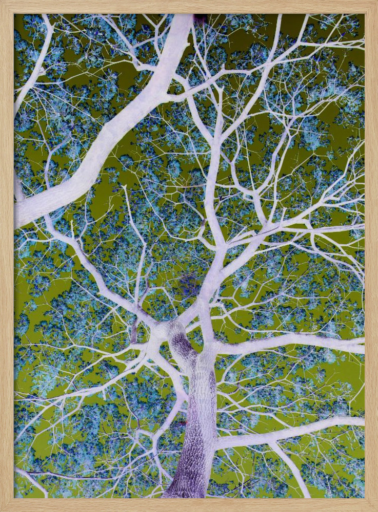 Poster - Twilight No2 posterframe van natuurlijk hout