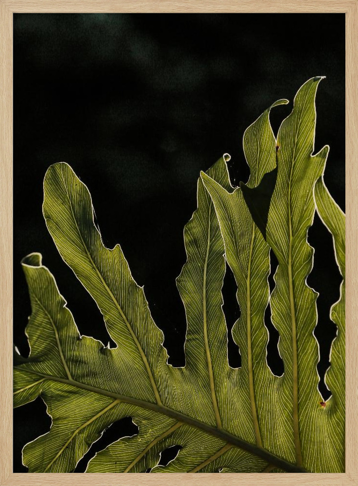 Affiche - Twilight cadre de poster en bois naturel
