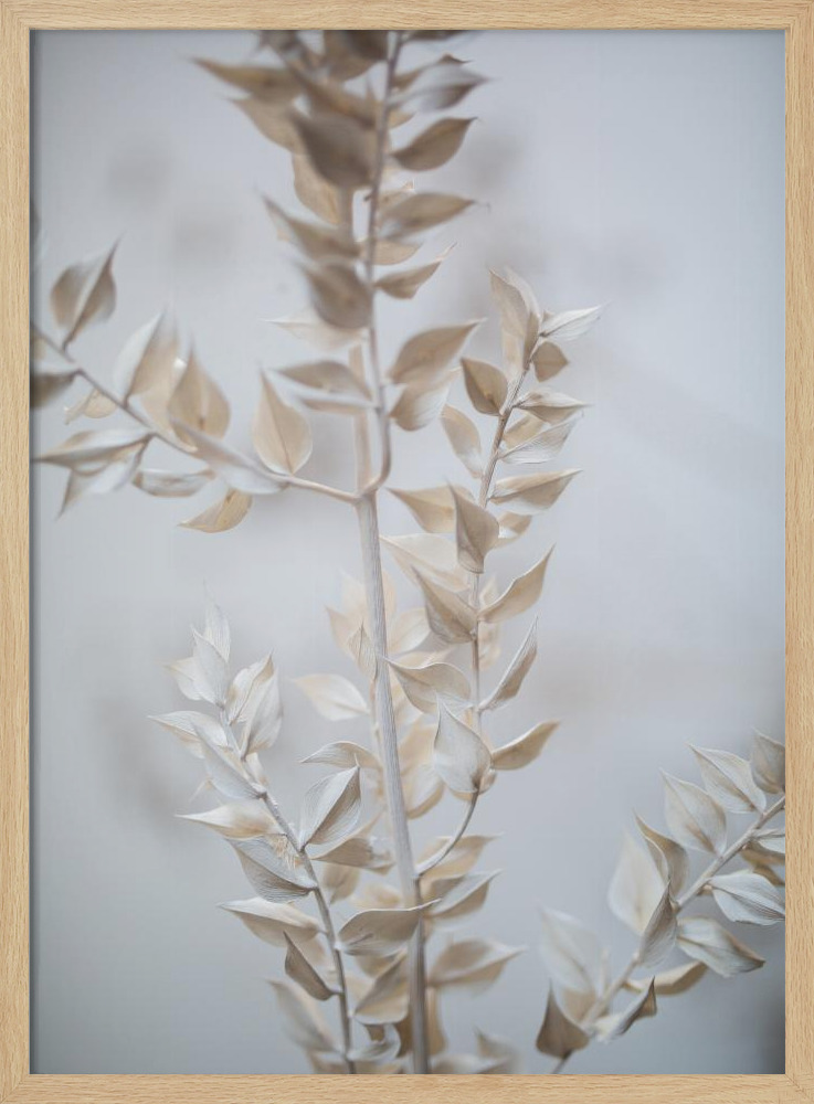 Poster - Last Summer 7 natural wood poster frame