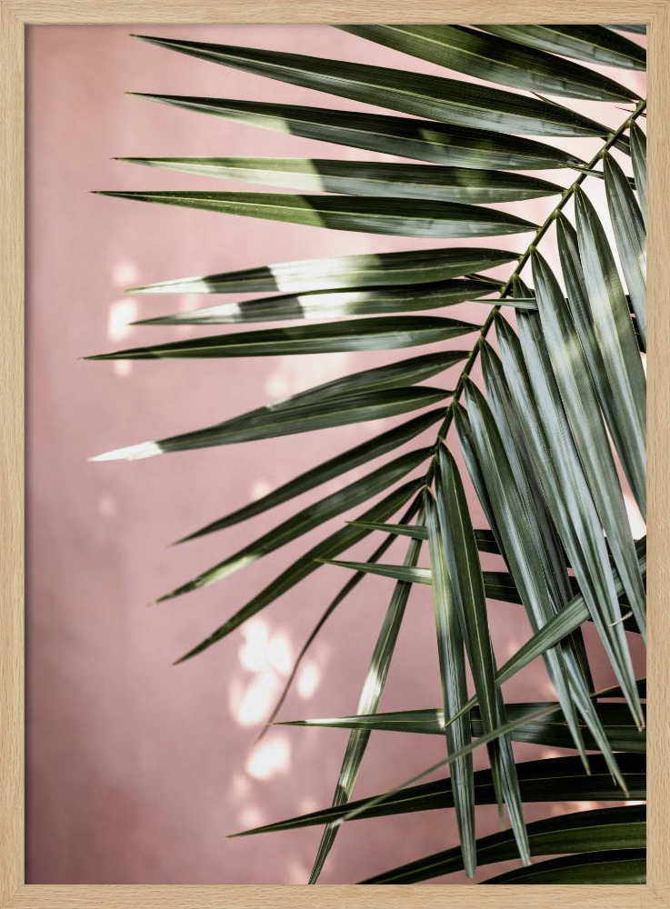 Poster - Palm Leaves 23 posterframe van natuurlijk hout