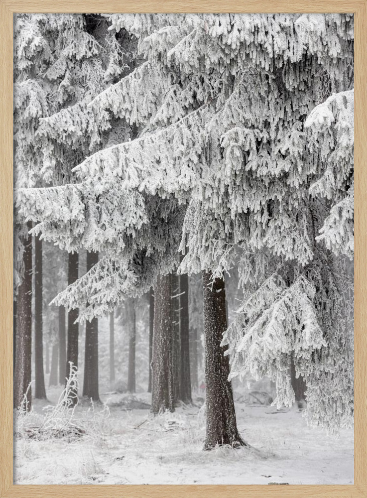 Affiche - Winter Forest 2 cadre de poster en bois naturel