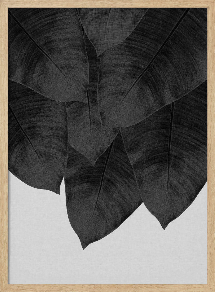 Affiche - Banana Leaf Black & White III cadre de poster en bois naturel