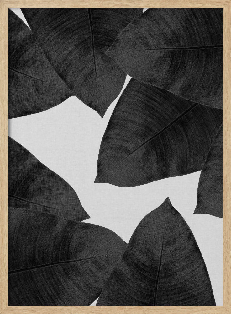 Poster - Banana Leaf Black & White II posterframe van natuurlijk hout