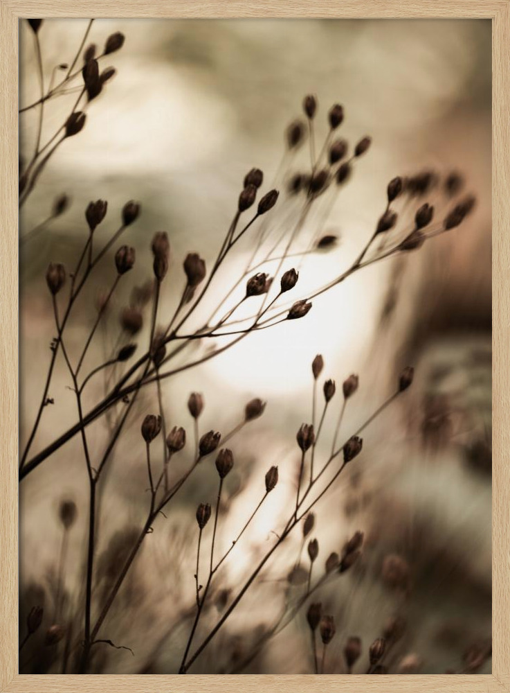 Affiche - Autumn Lights cadre de poster en bois naturel