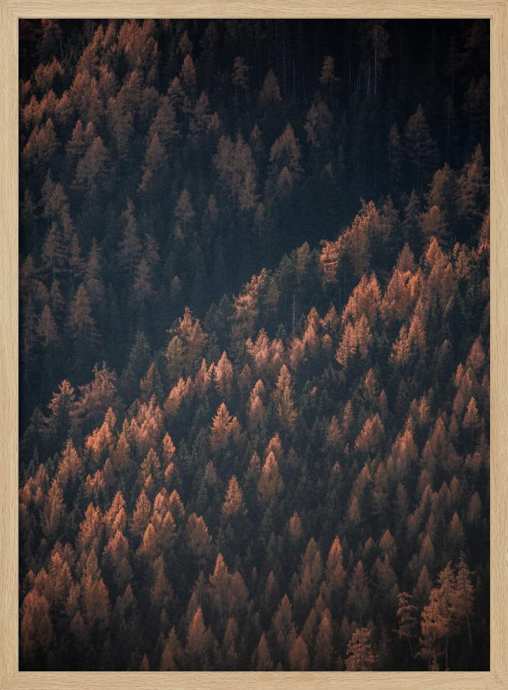 Poster - Autumn Woods 2 natural wood poster frame