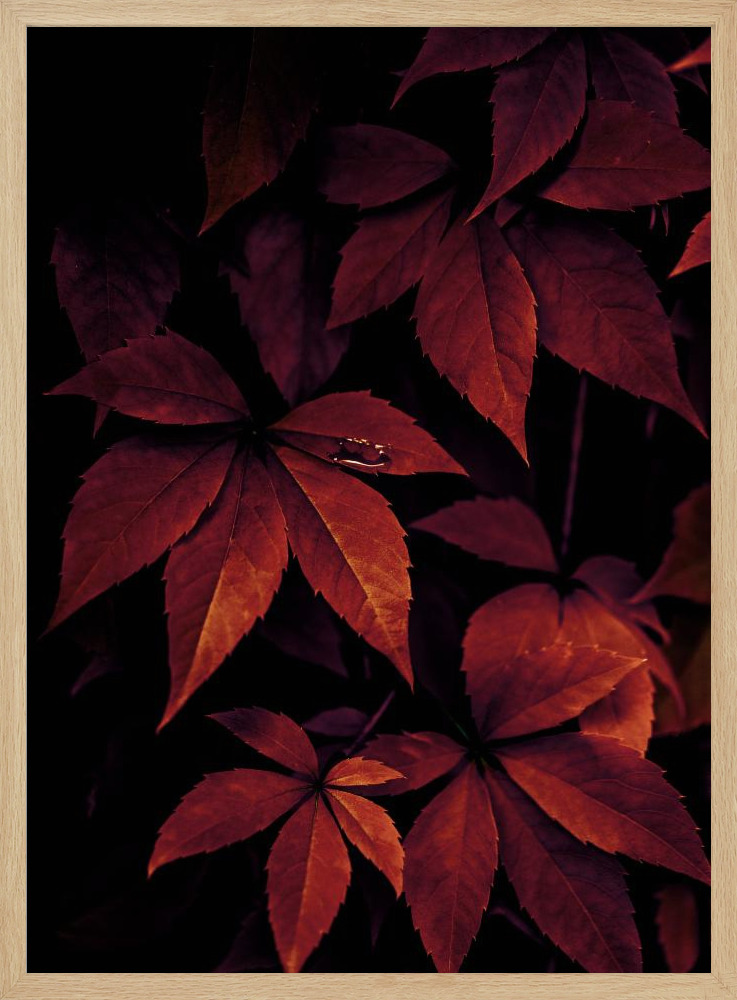 Poster - Dark Leaves 7X posterframe van natuurlijk hout