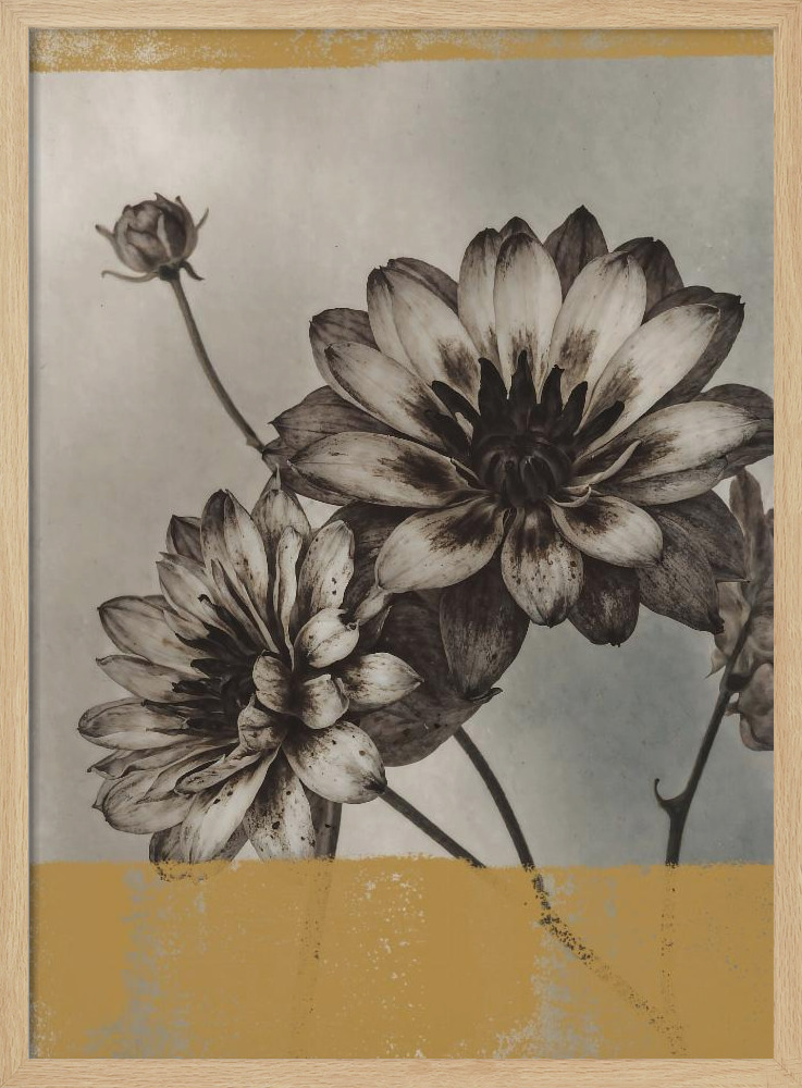 Poster - Vintage Flowers No.6 natural wood poster frame