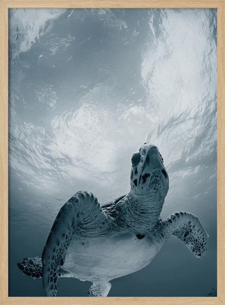 Poster - Elegy posterrahmen aus Naturholz