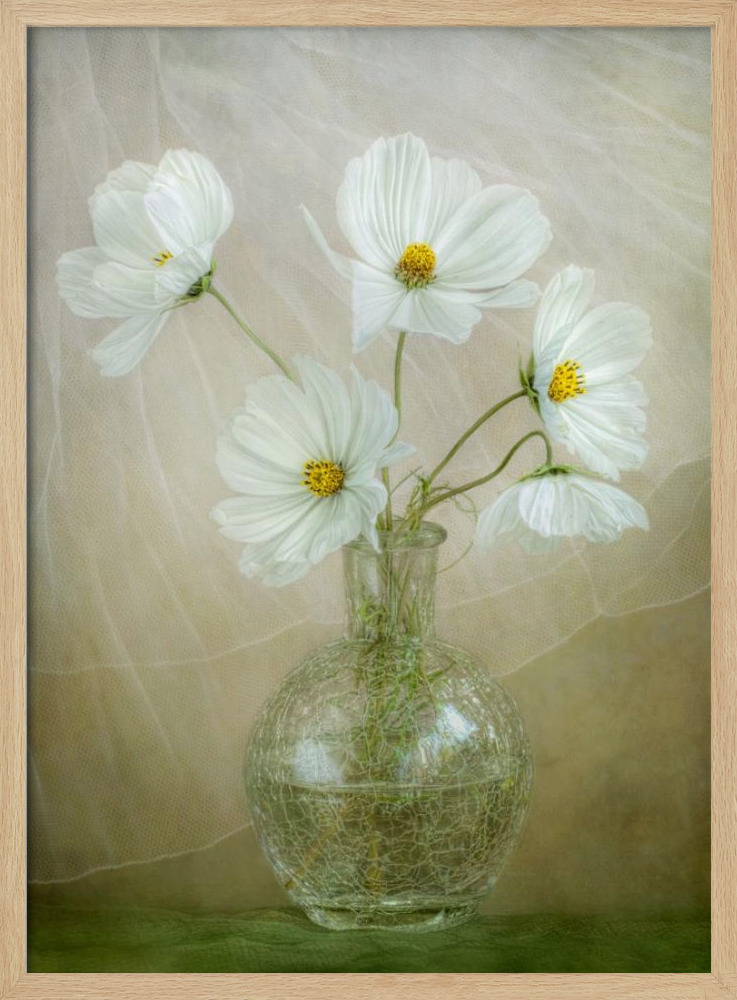 Poster - Cosmos breeze natural wood poster frame