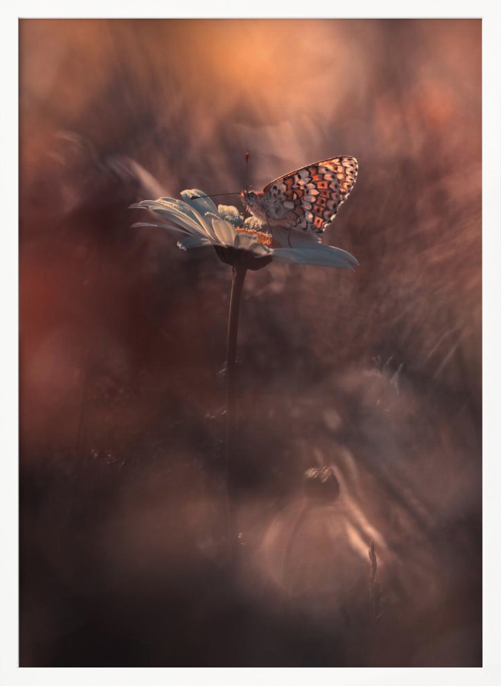 Poster - Pyrotechnics posterrahmen aus weißem Holz