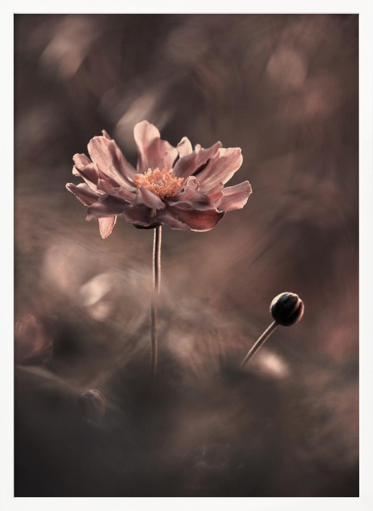 Poster - Un présent et un futur révolus. Un passé présent white wood poster frame