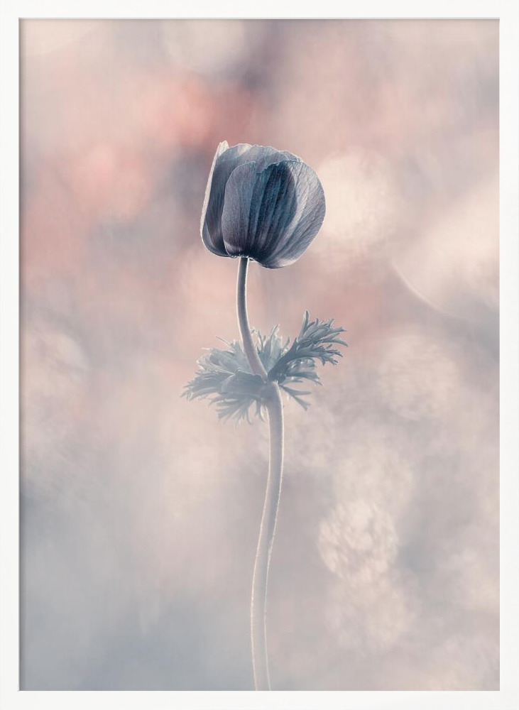 Poster - Soliste white wood poster frame