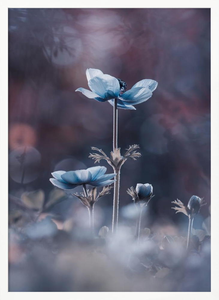 Poster - The beginning of a new era white wood poster frame