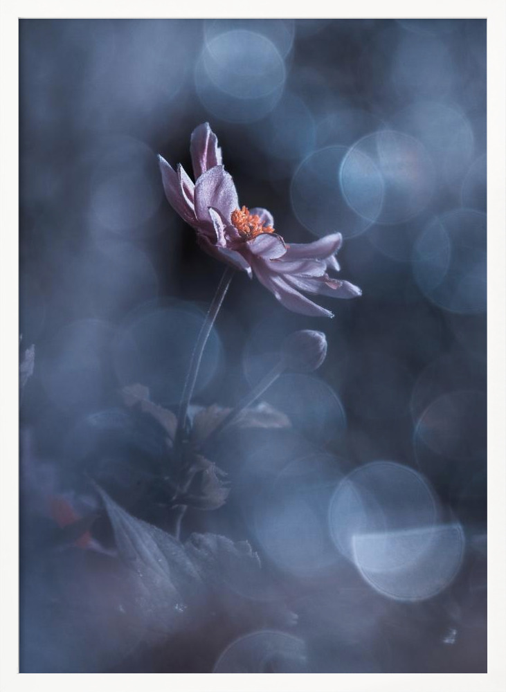 Poster - Dancing in the dark white wood poster frame