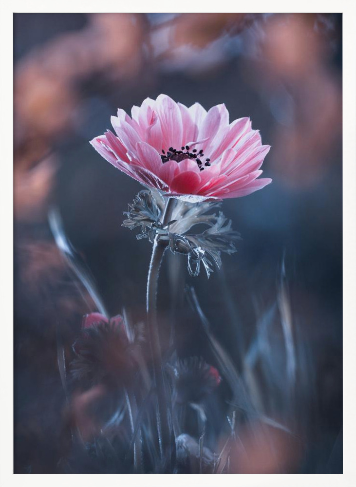 Poster - Standing in beauty white wood poster frame