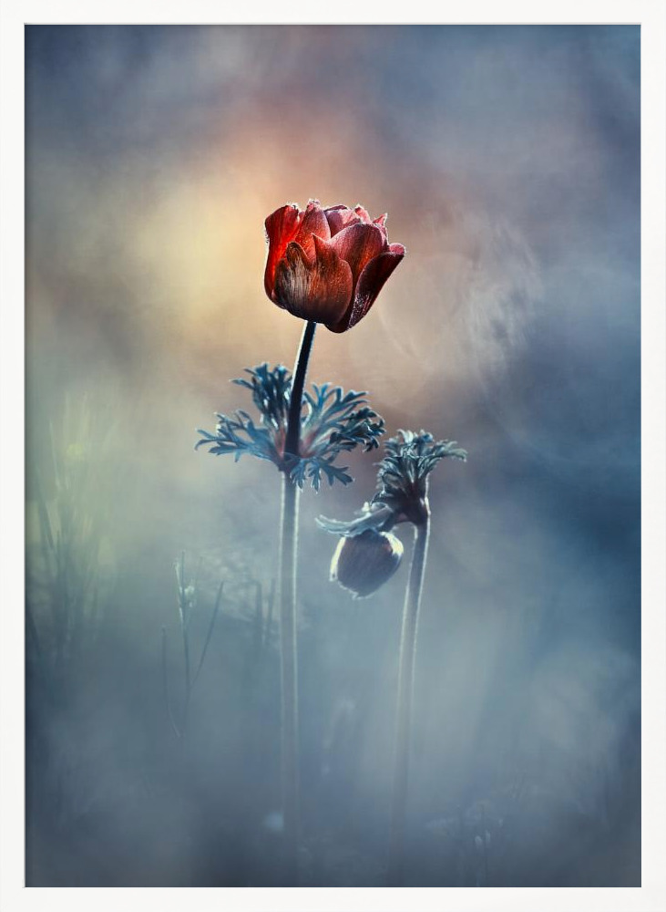 Poster - Where poetry and memories remain white wood poster frame