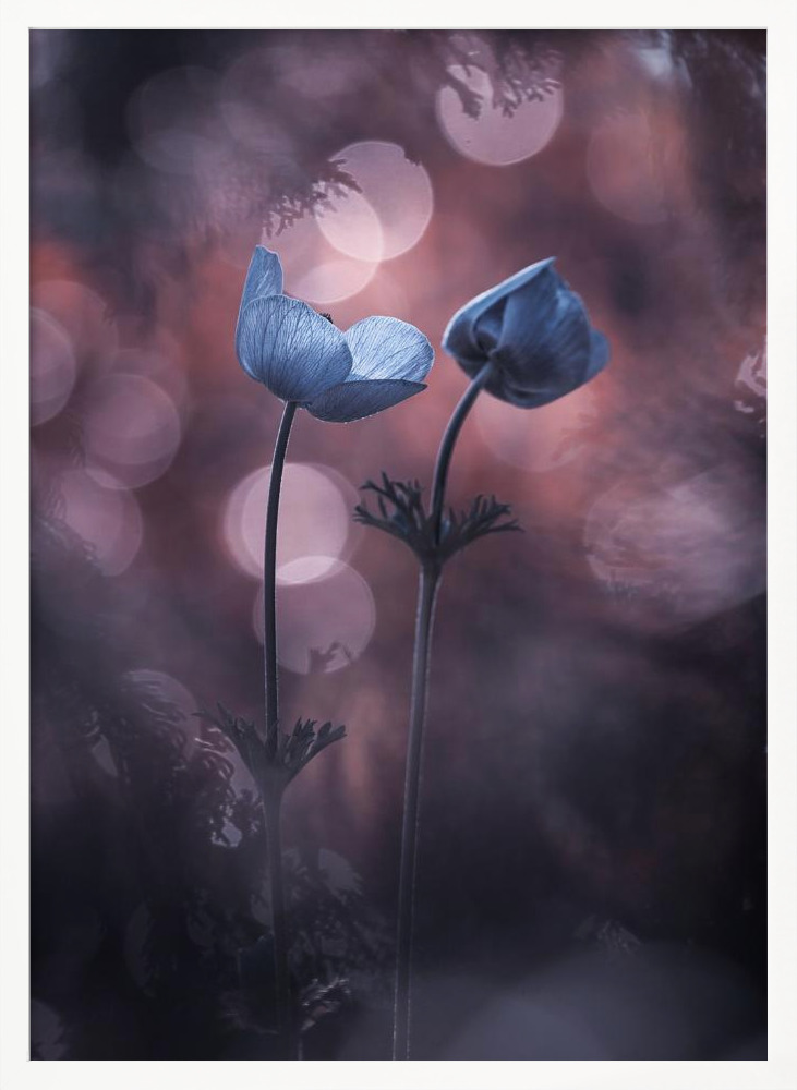 Poster - Why does my heart feel so bad white wood poster frame