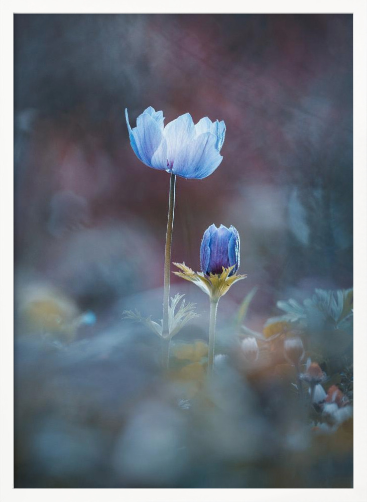 Poster - Growing Up white wood poster frame