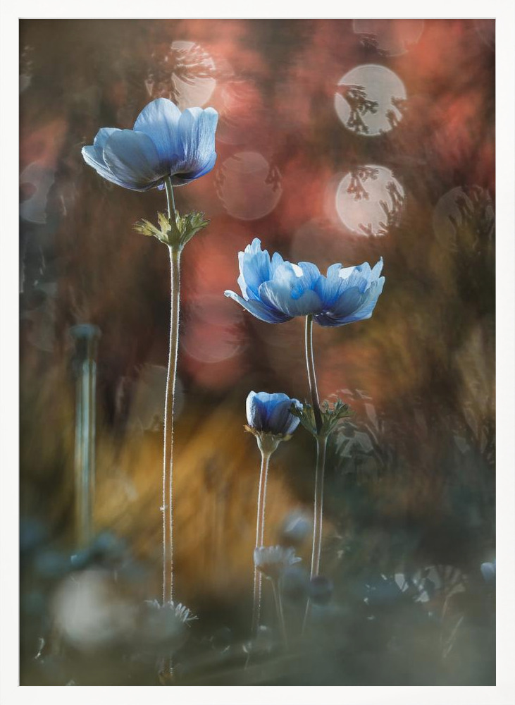 Poster - A riot of colors in a grey and dreary world white wood poster frame