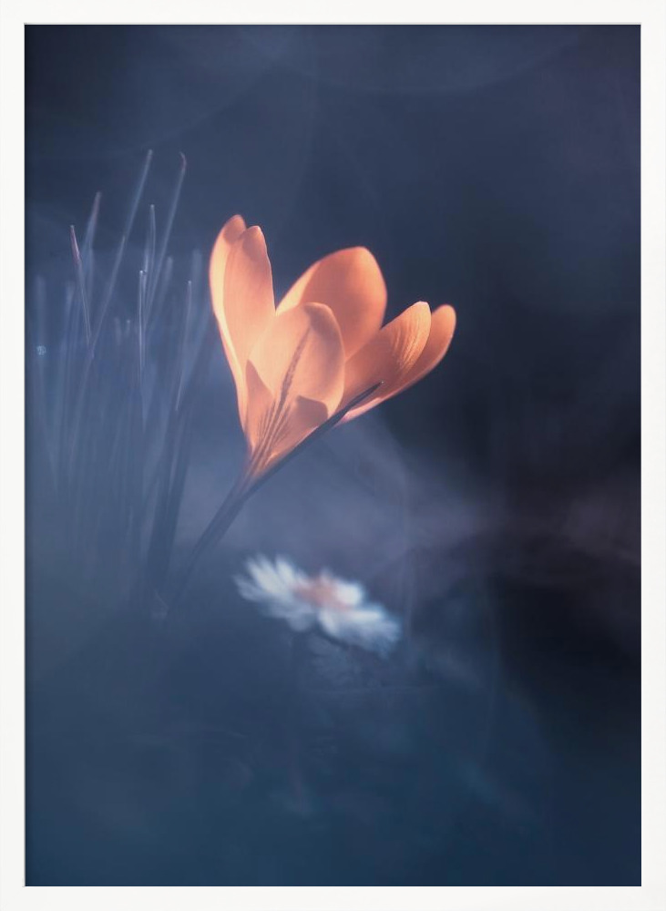 Poster - Upanishad white wood poster frame