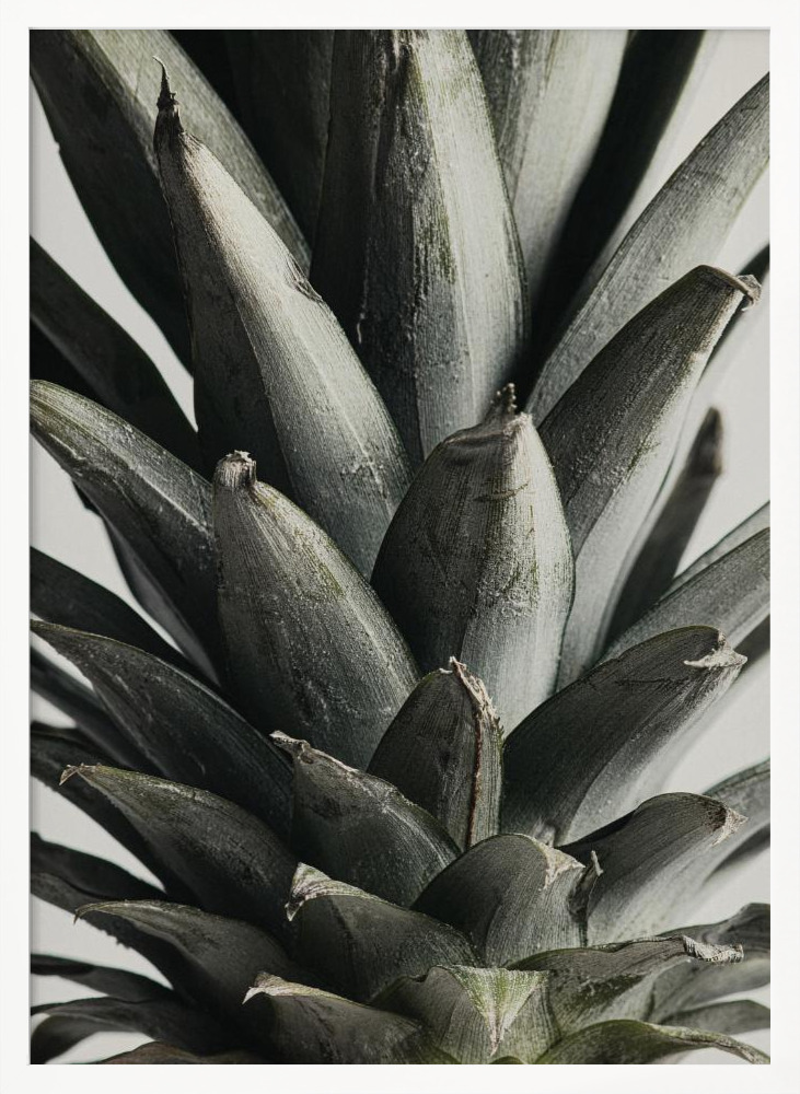 Poster - Pineapple close up white wood poster frame
