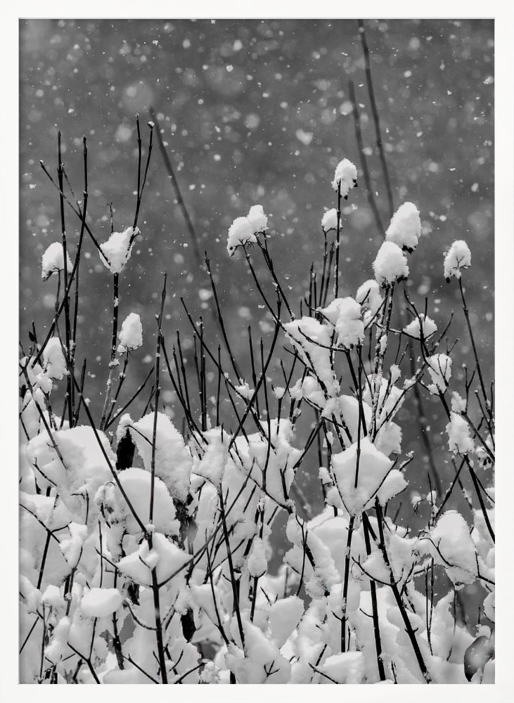 Poster - Happy New Year white wood poster frame