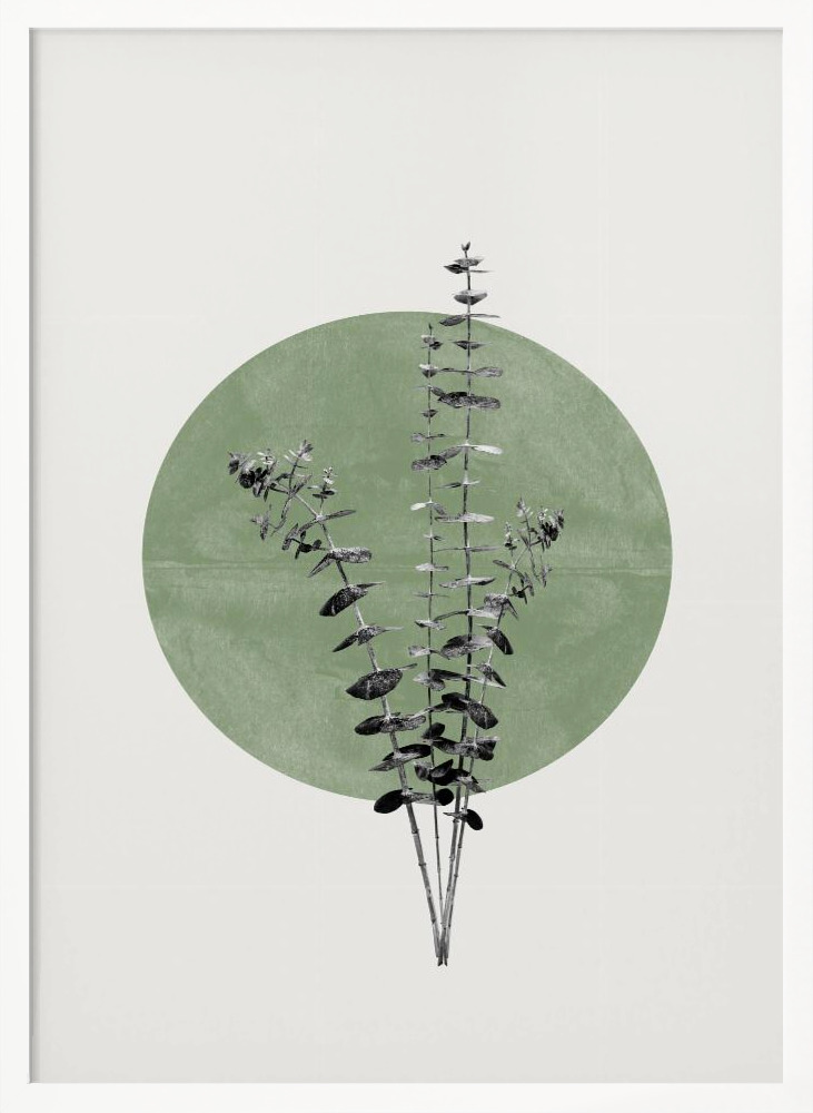 Póster - Eucalyptus and Green Moon white wood poster frame