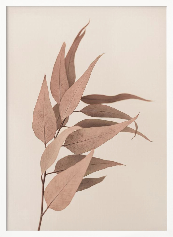 Poster - Dried Eucalyptus white wood poster frame