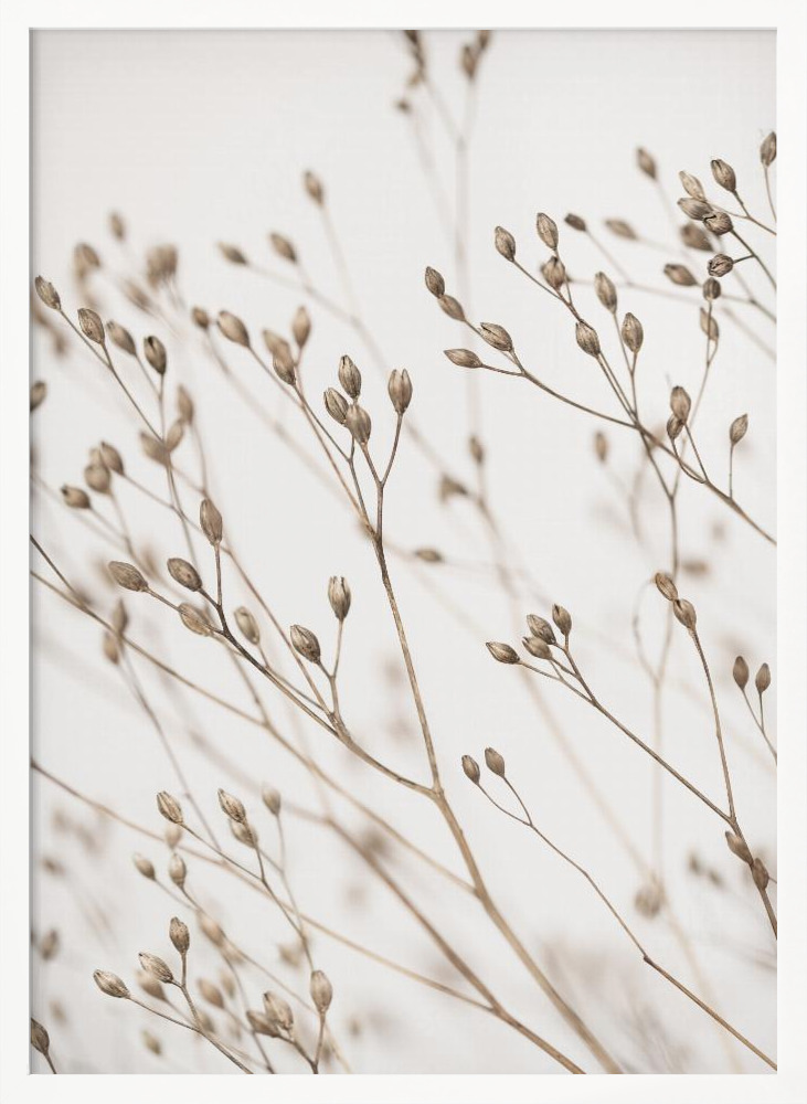 Poster - Wild Grass white wood poster frame