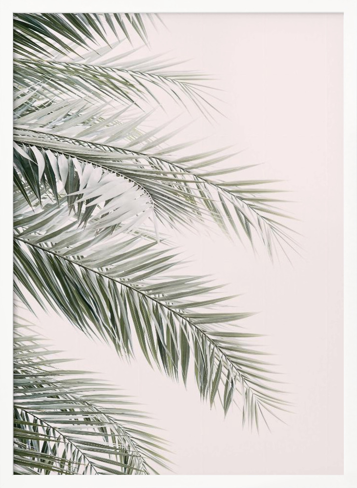 Poster - Blush Palm Leaves white wood poster frame
