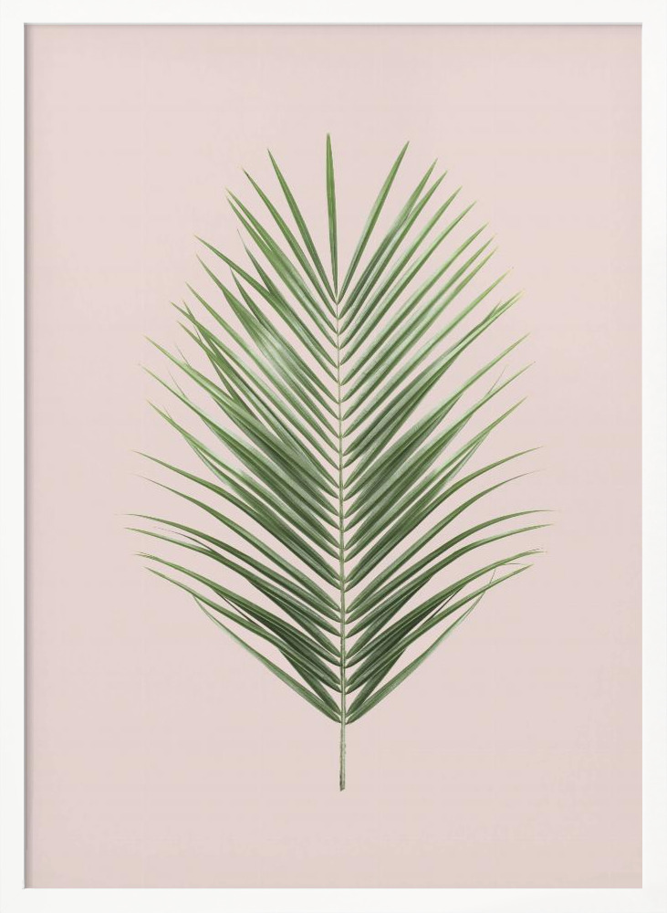 Plakat - Palm Leaf Blush ramka na plakat z białego drewna