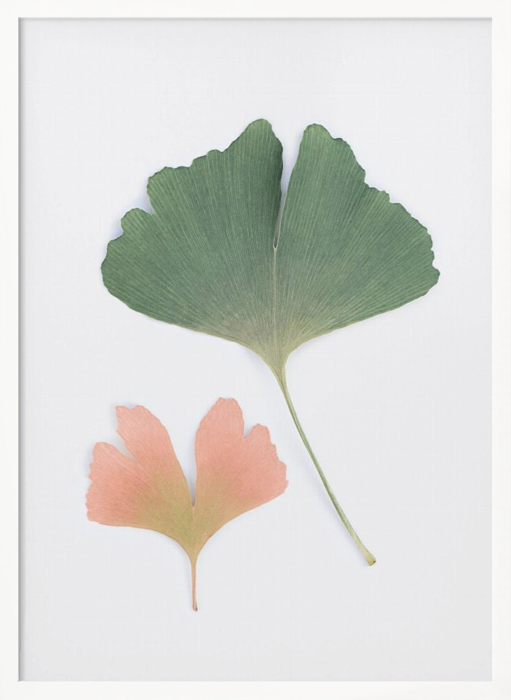 Plakat - Pastel Ginkgo ramka na plakat z białego drewna