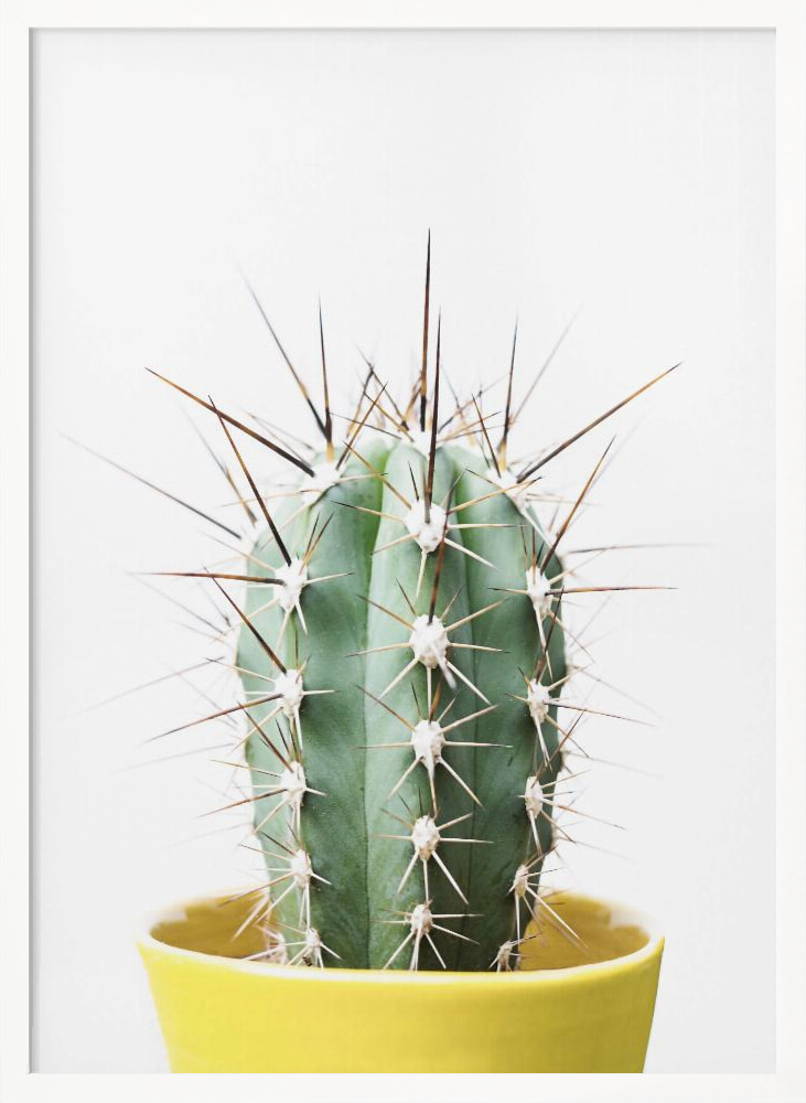Poster - Spikey Cactus white wood poster frame