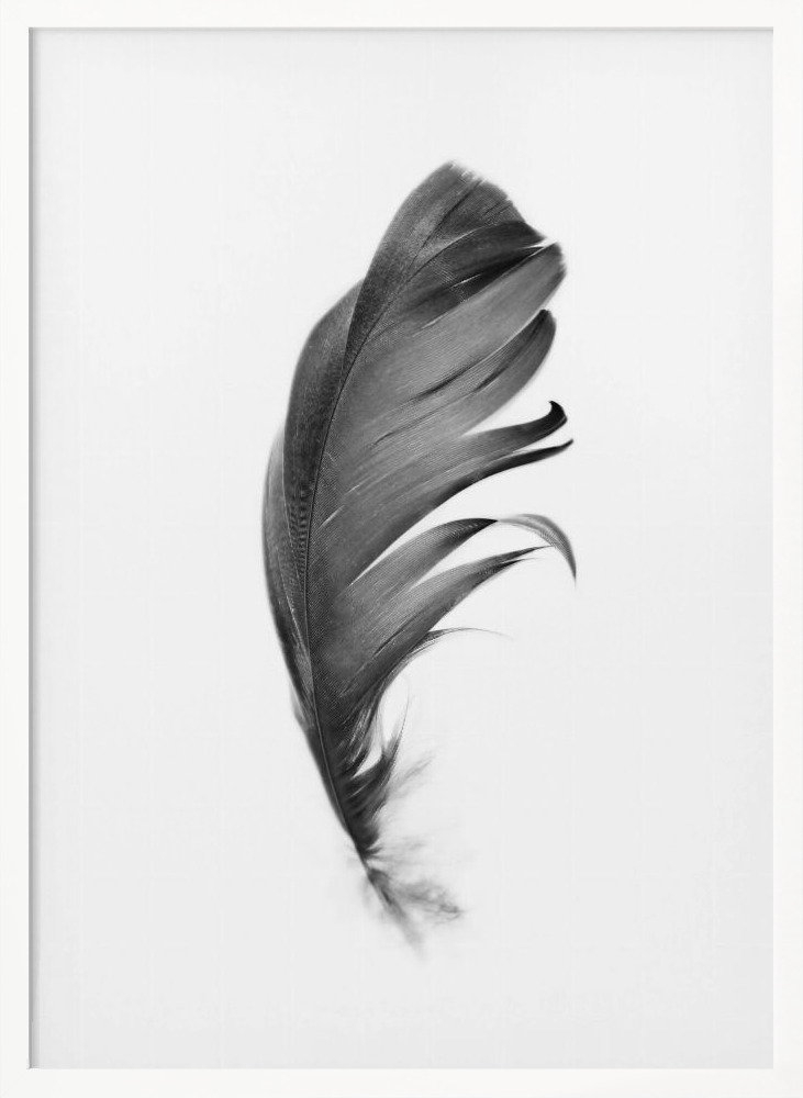 Poster - Feather white wood poster frame