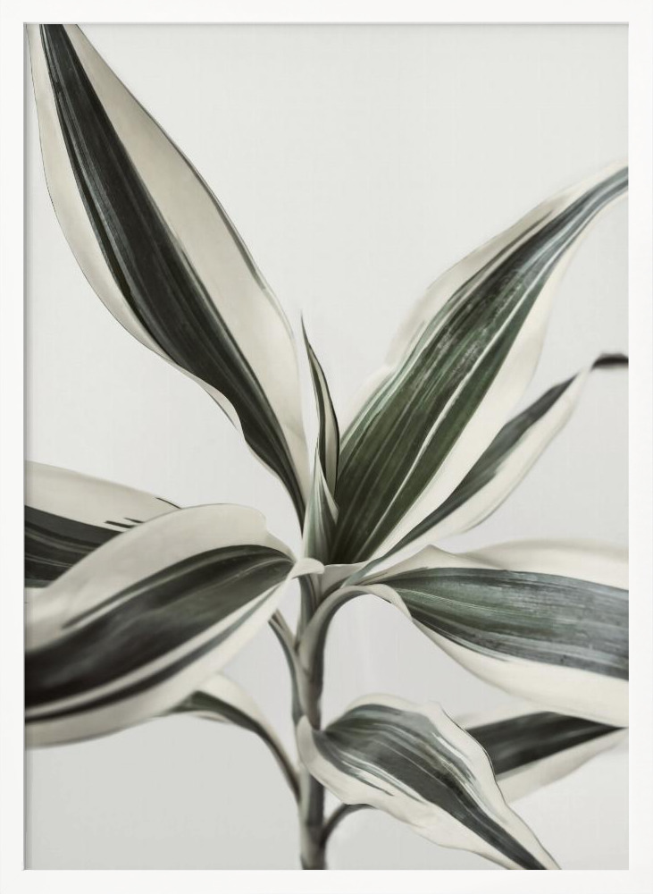 Plakat - Foliage ramka na plakat z białego drewna