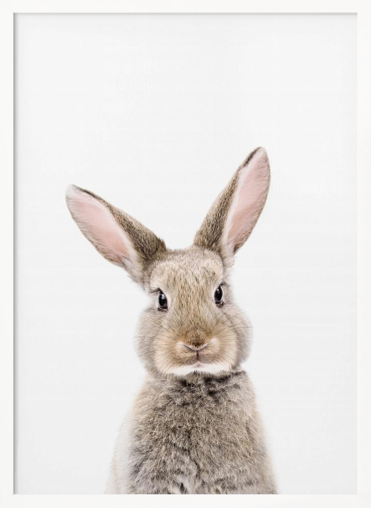 Plakat - Baby Rabbit ramka na plakat z białego drewna