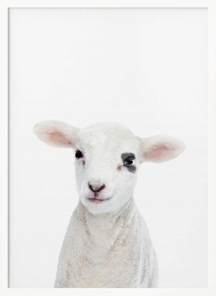 Poster - Baby Lamb white wood poster frame