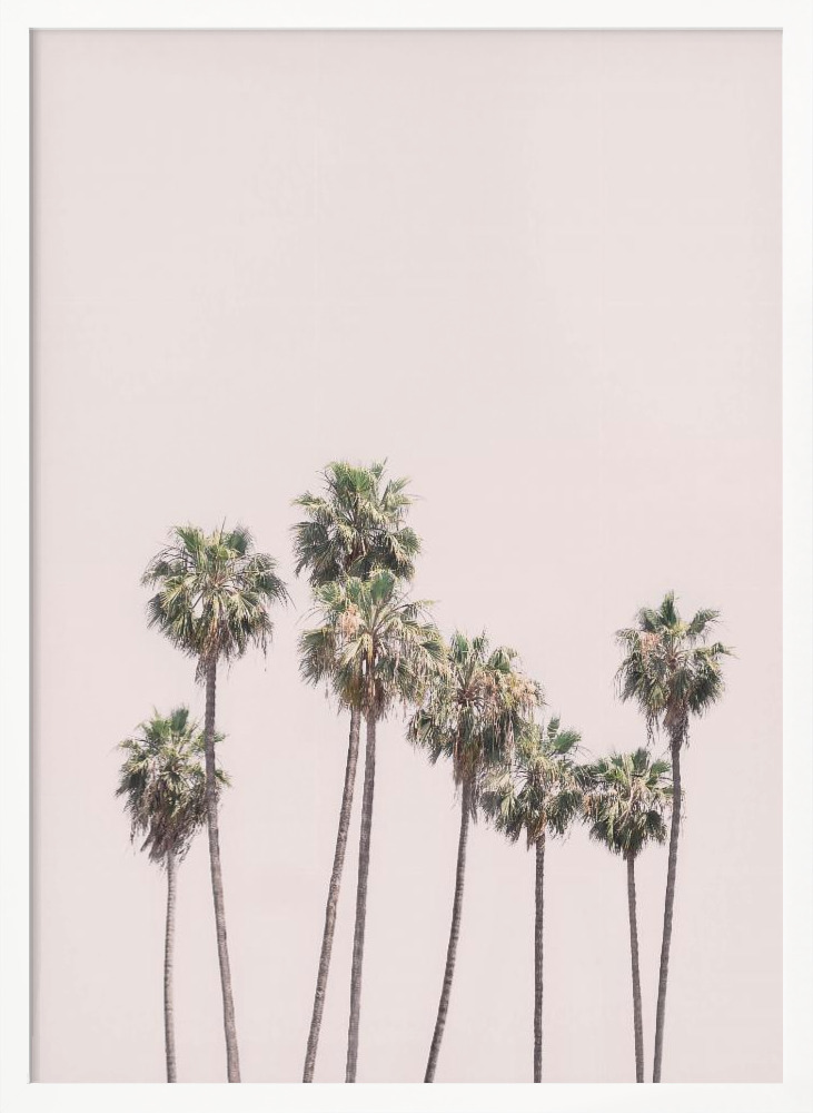Poster - Blush Palms white wood poster frame