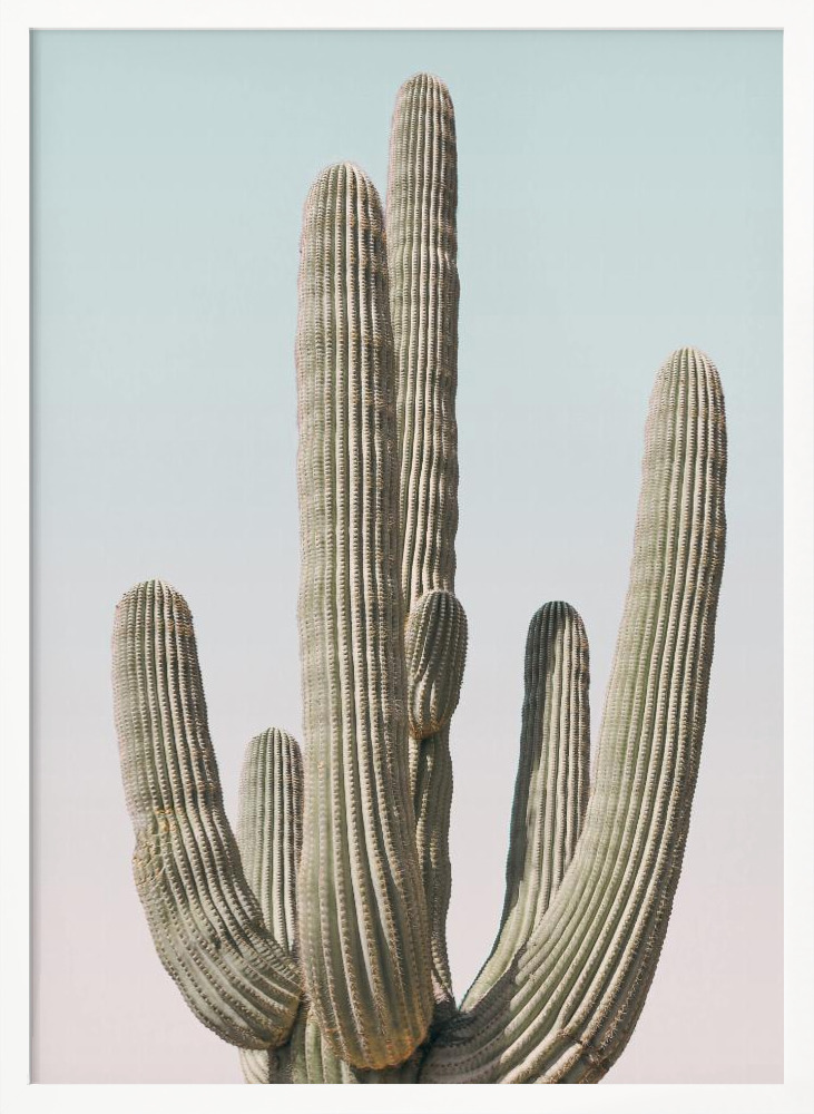 Poster - Saguaro posterframe wit hout
