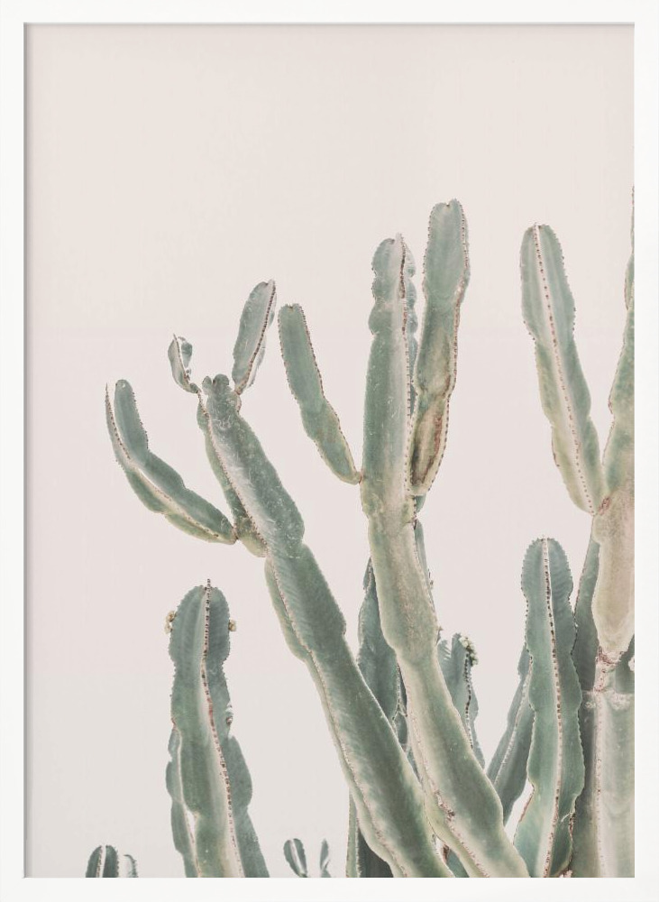 Poster - Sunrise Cactus posterframe wit hout