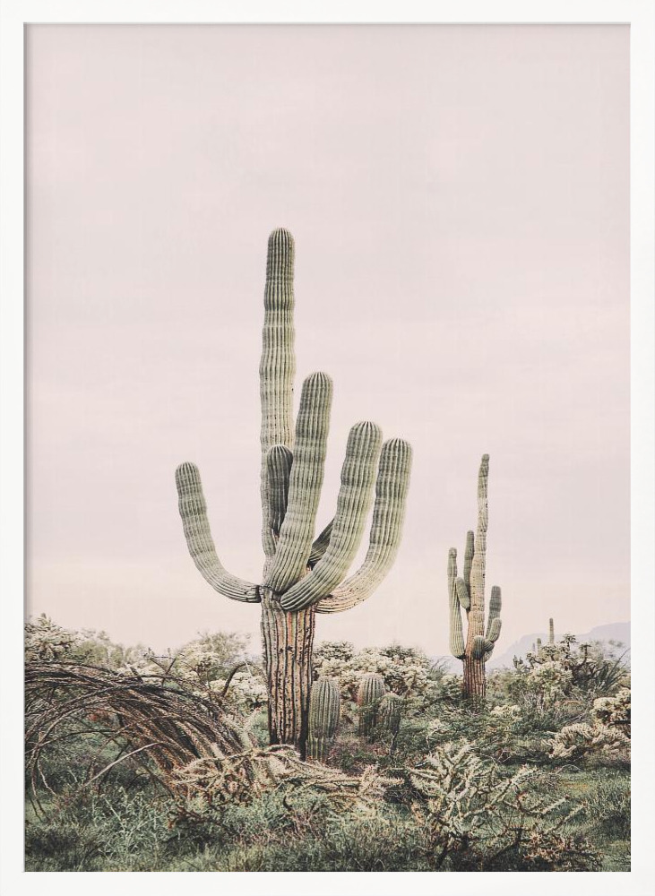 Poster - Pink Saguaro white wood poster frame