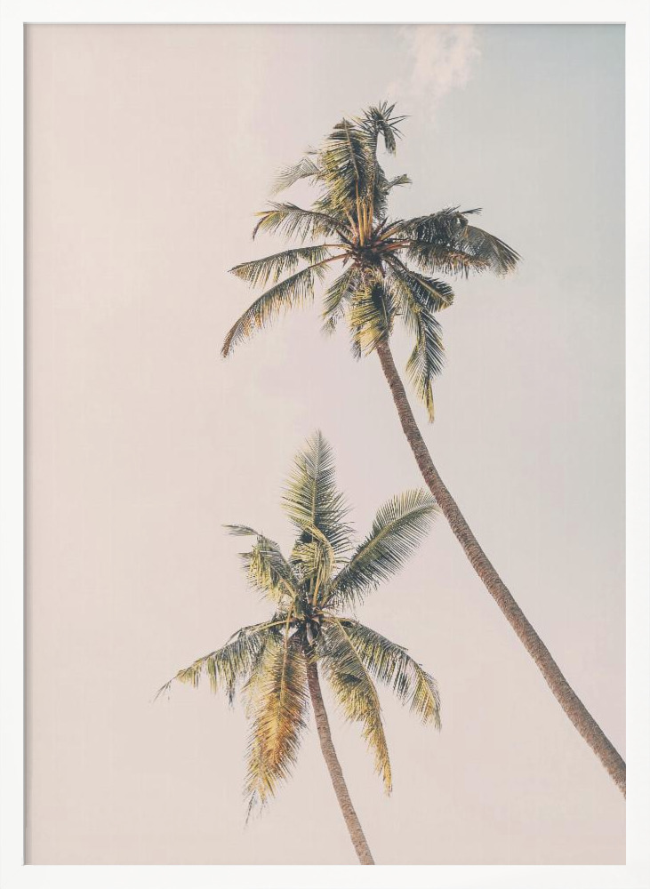 Poster Tropical Palms - Affisch vit affischram i trä