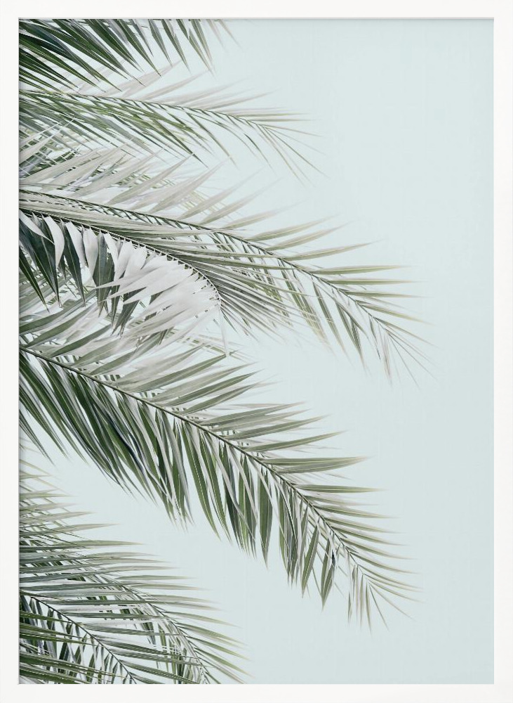Juliste - Blue Palms valkoinen puu julisteen kehys